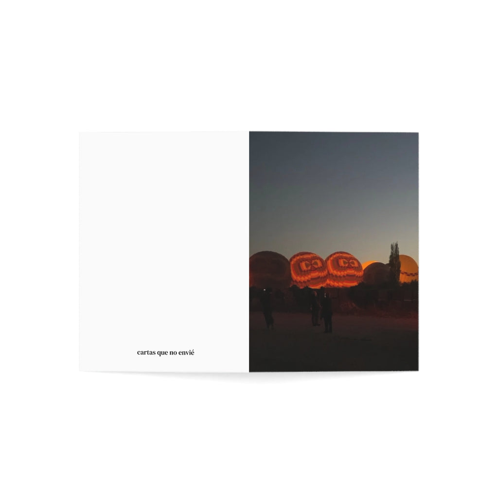 Vol. II - Before We Disappeared