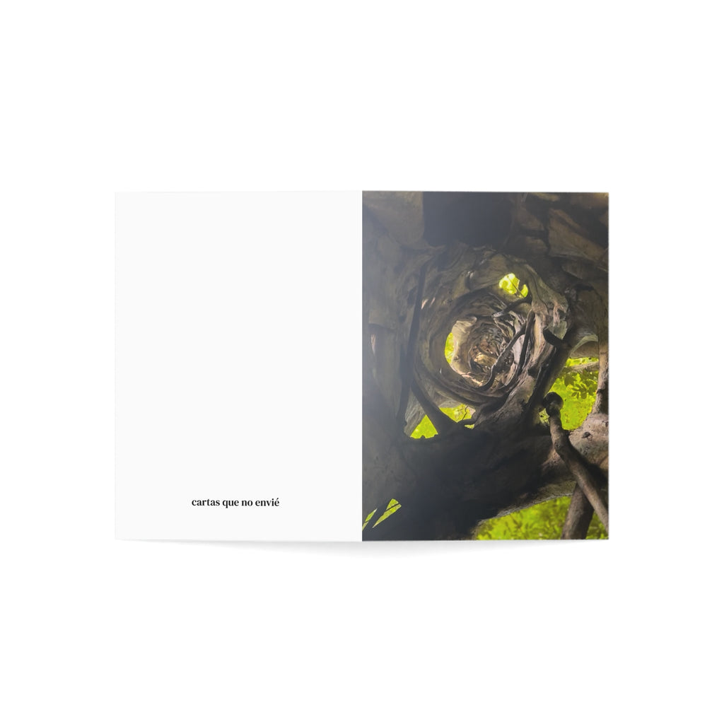 Vol. VI - The Shape It Took