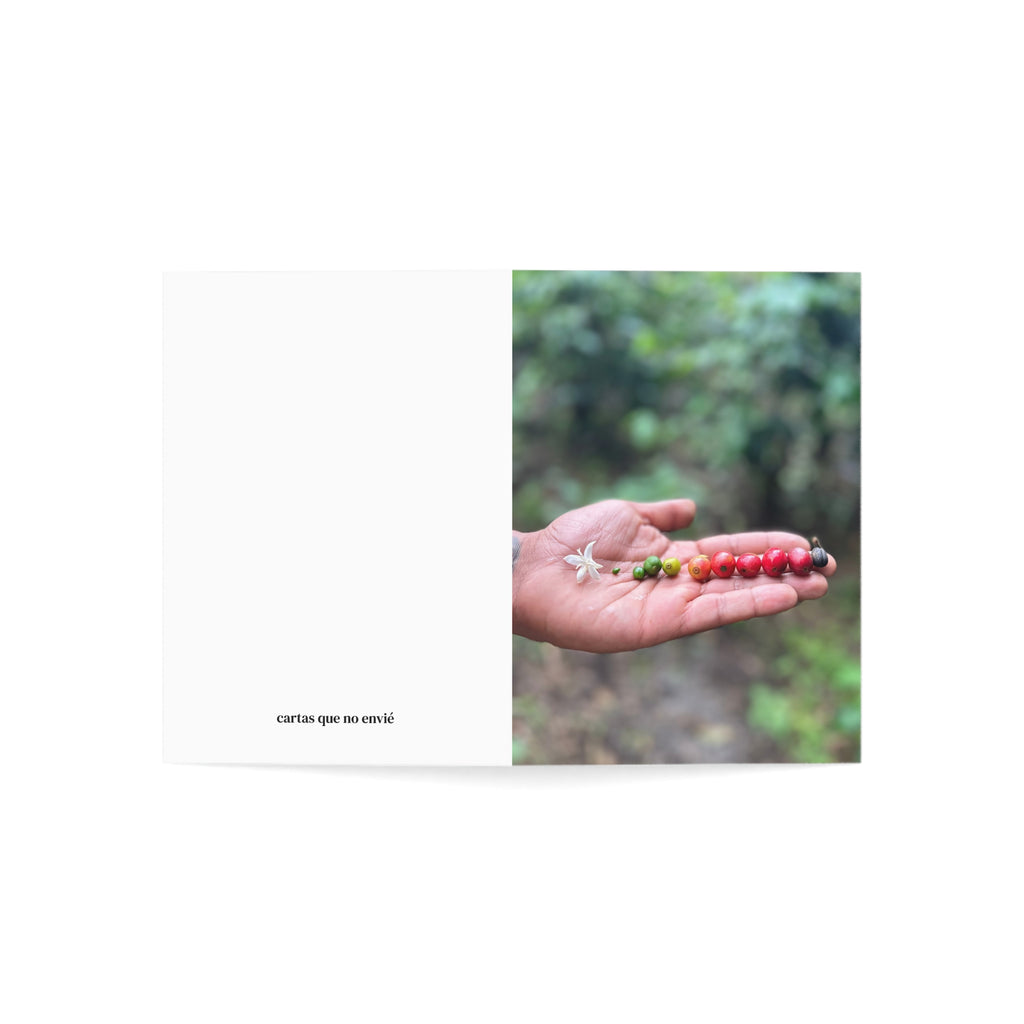 Vol. IX - What Remained