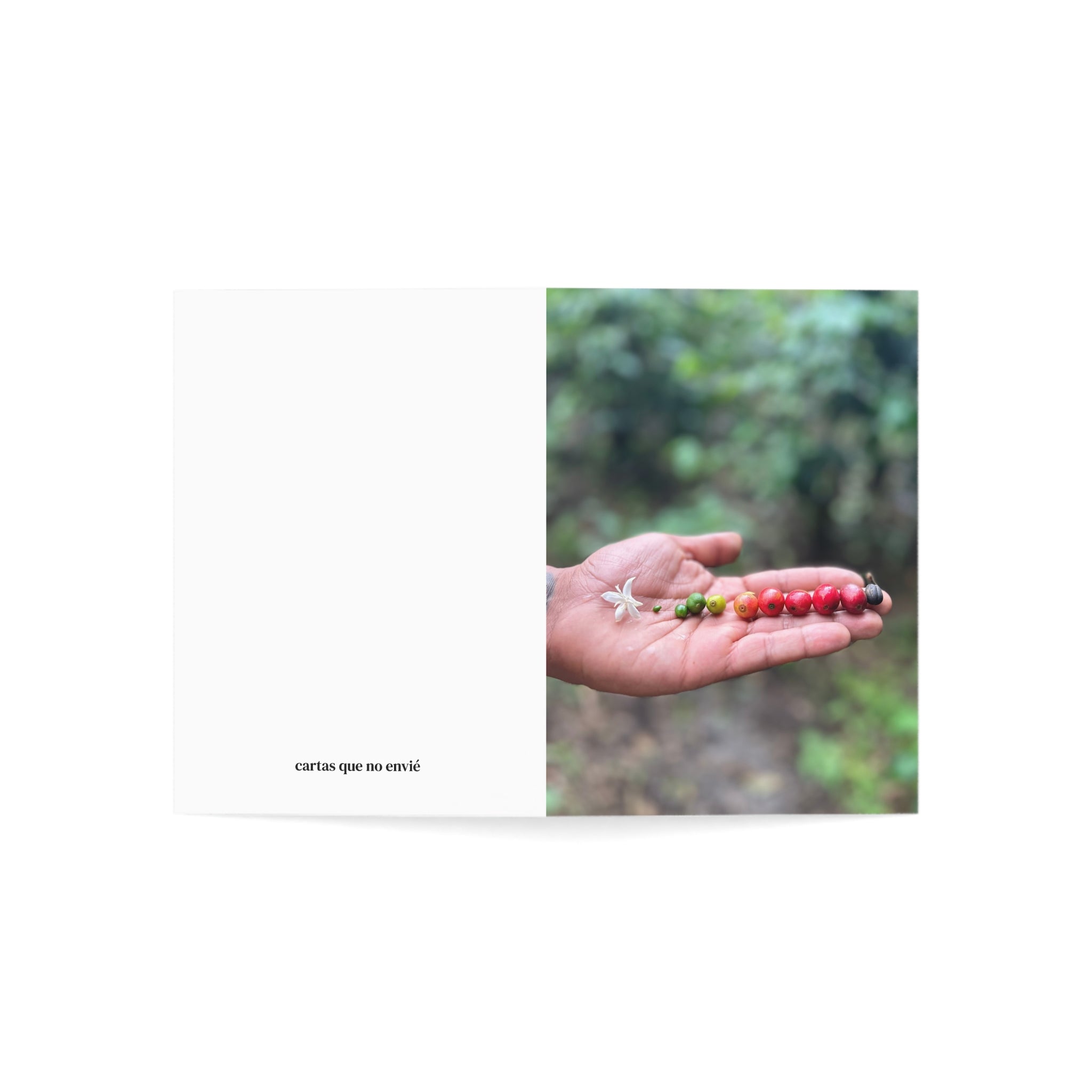 Vol. IX - What Remained